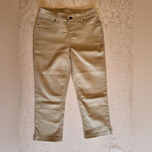 Up! Women's Skinny Cropped Pants in Tan, Size 10, NWOT